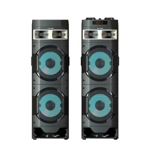POLYTRON ACTIVE SPEAKER - PAS 10DF28